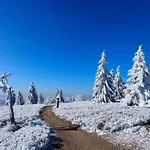 Holiday Apartment With Terrace In Winterberg